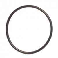 1301384 O-RING GM2 110MM RUBBER CORR.DELAVAL 22341275